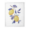 Blue & Yellow Lemons II Framed Canvas Wall Art Print - 11"x14"